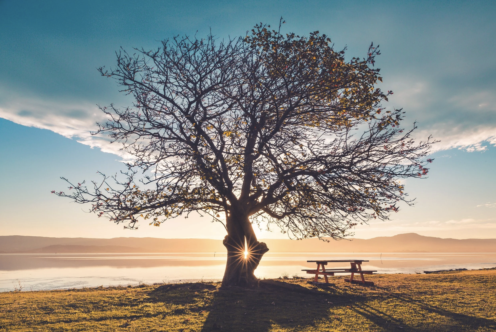 POTENTIAL: HUMANITY IS HUNGRY FOR YOUR GREATNESS