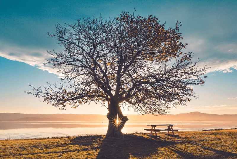 POTENTIAL: HUMANITY IS HUNGRY FOR YOUR GREATNESS
