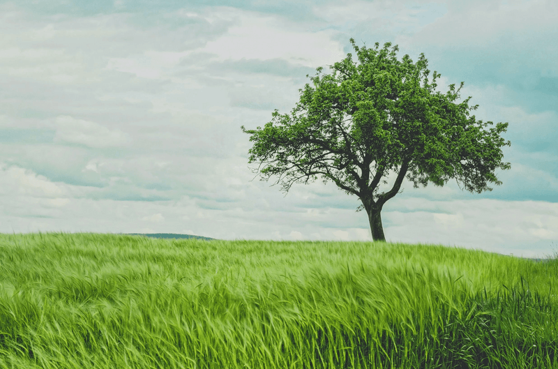 DIGNITY: THERE’S NEVER A GOOD REASON TO SETTLE