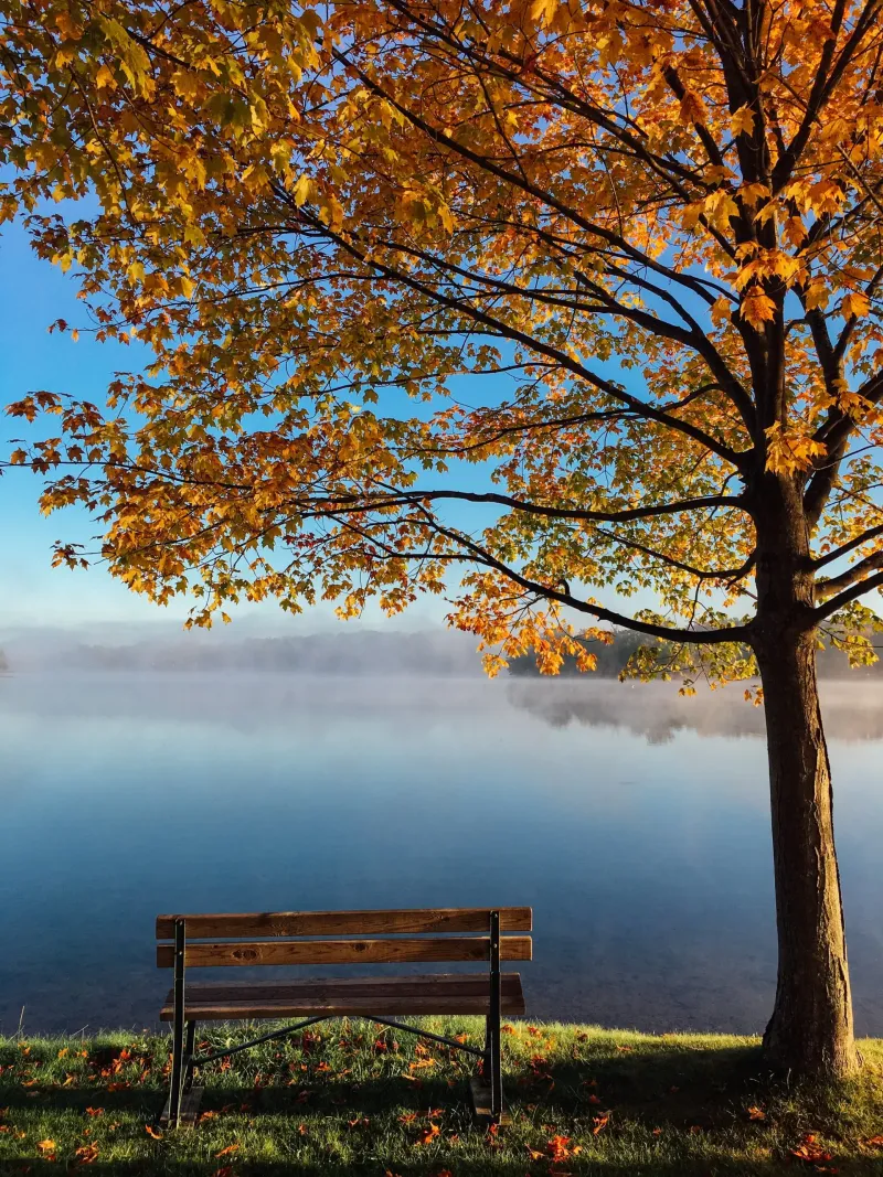 SERVICE: DOING FOR OTHERS IS HONORABLE; DOING FOR OTHERS AND YOURSELF IS NOBLE