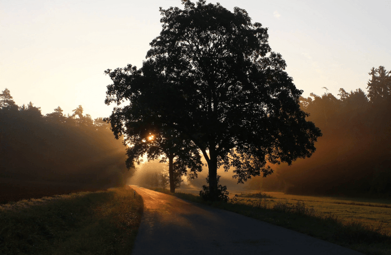 Think BIG: The hidden key to creating a meaningful, inspirational, vision.